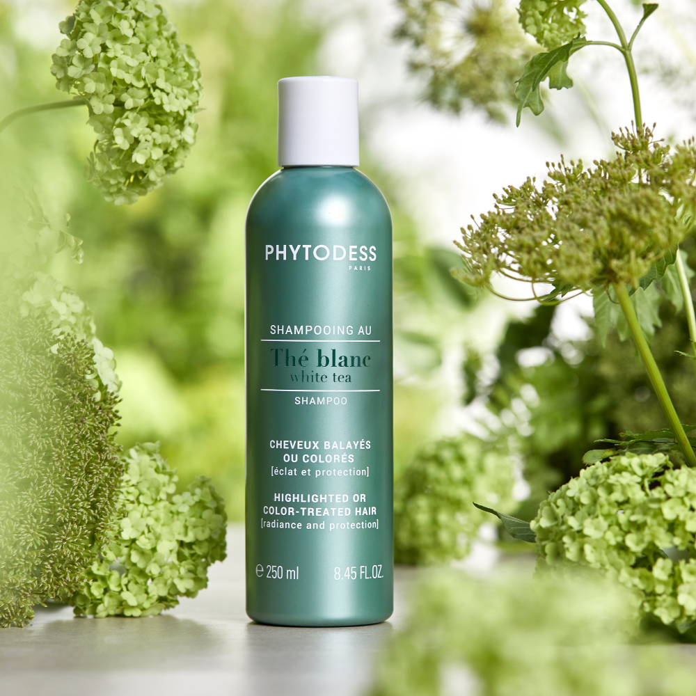 Shampooing au thé blanc - Éclat et protection